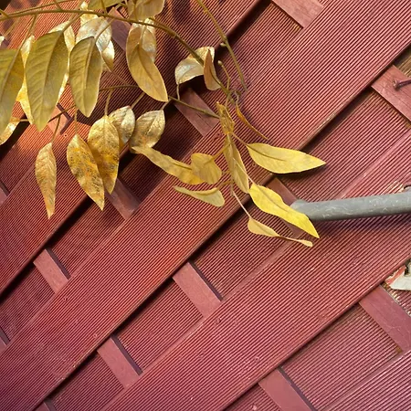 Maison d'hôtes My Cosy Space Spa