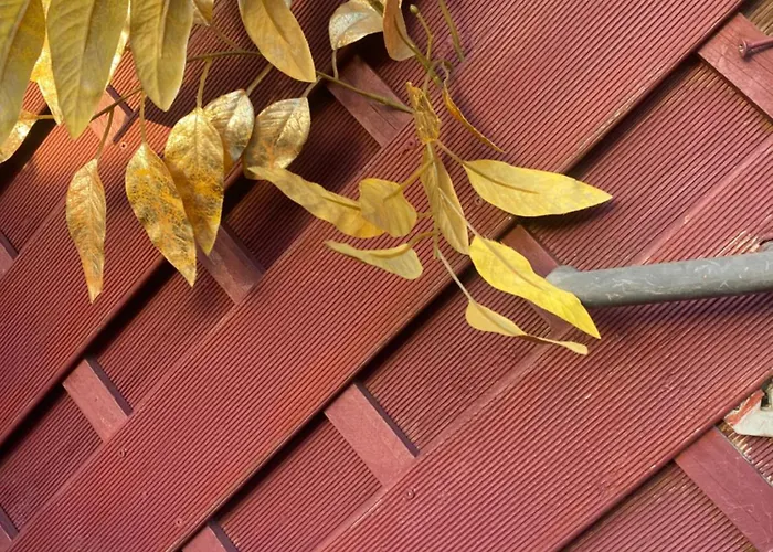 Maison d'hôtes My Cosy Space Spa